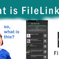 What is FileLinked
