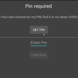 enter pin code filelinked