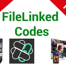 top 5 filelinked codes