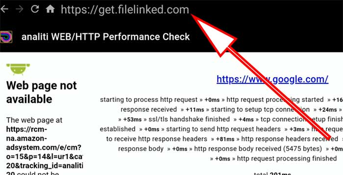 enter filelinked on analiti web check