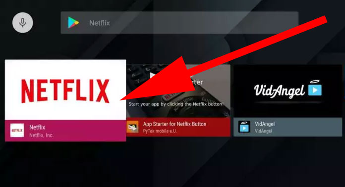 NetFlilx for Android TV via Play Store