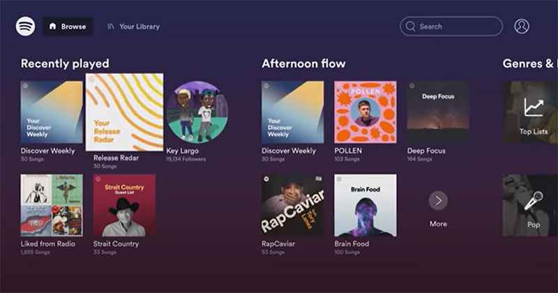 Spotify for TV
