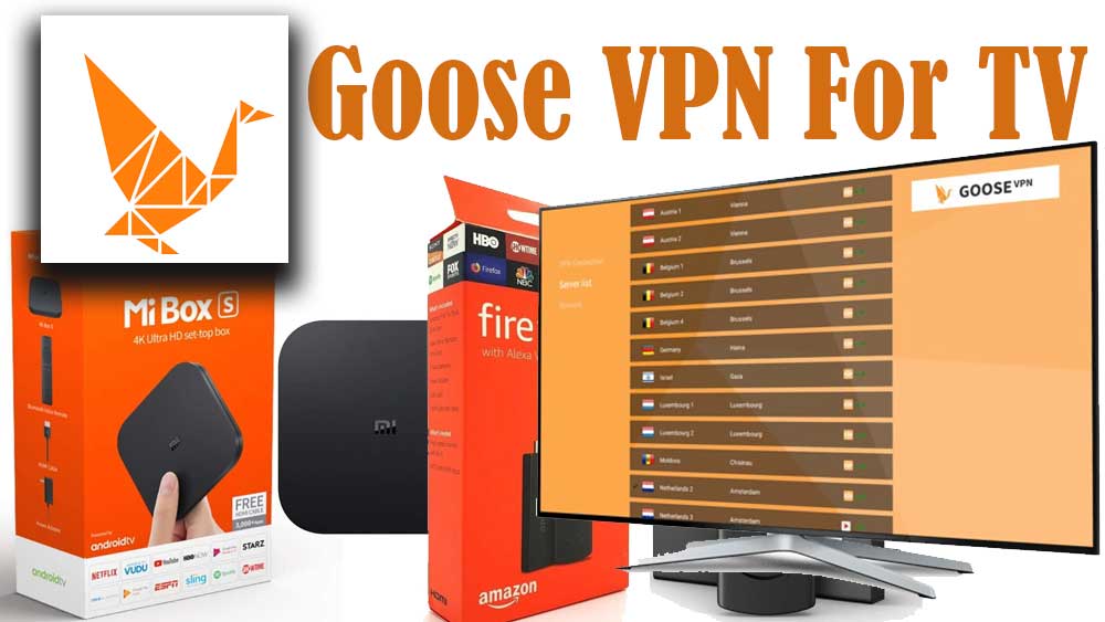 Goose VPN for Android TV and Fire TV