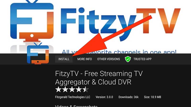 Fitzy TV Android TV BOX