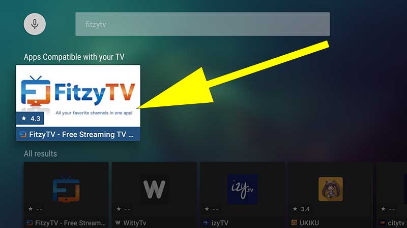 Fitzy TV Firestick