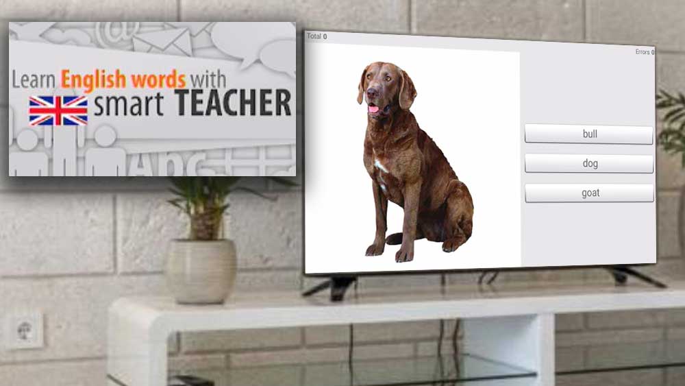 Learn English Words with Smart Teacher using TV