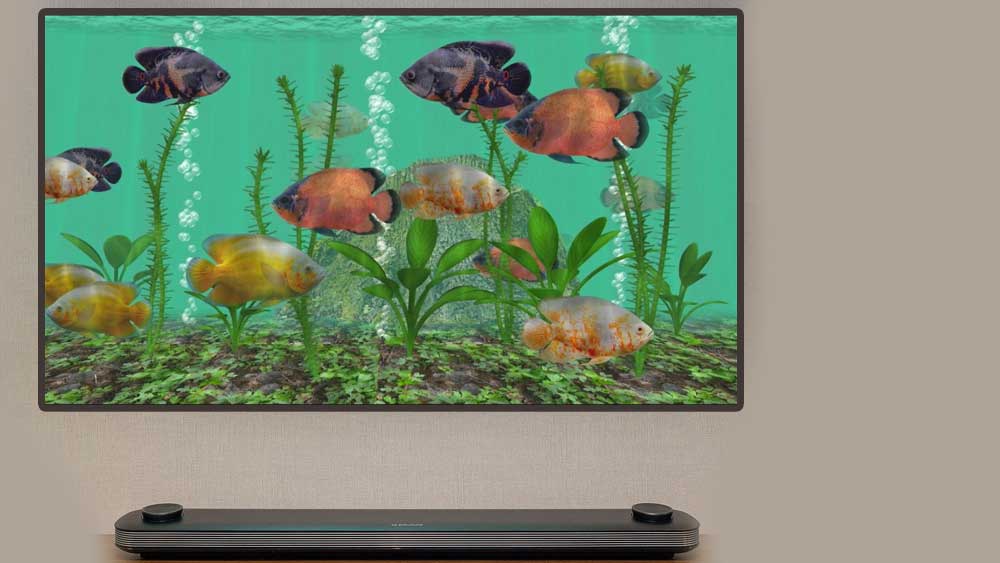 Oscar Fish Aquarium TV – 3D Live Fish App