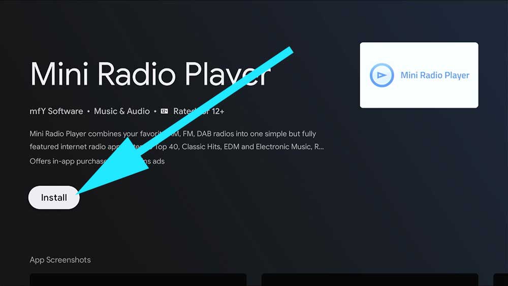 Install Mini Radio Player TV