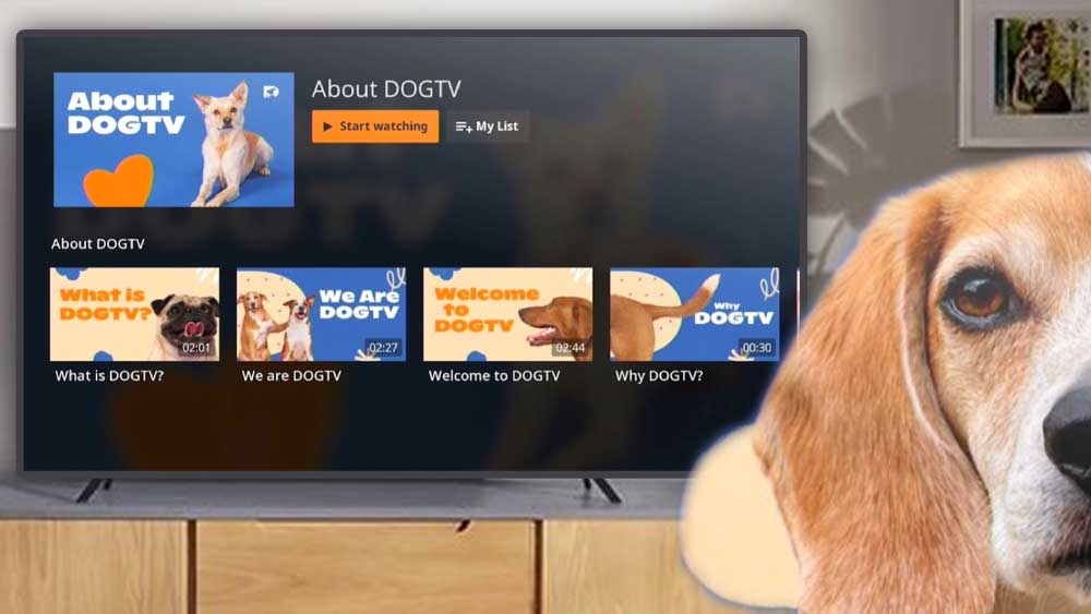 DOGTV – Programs created just for dogs