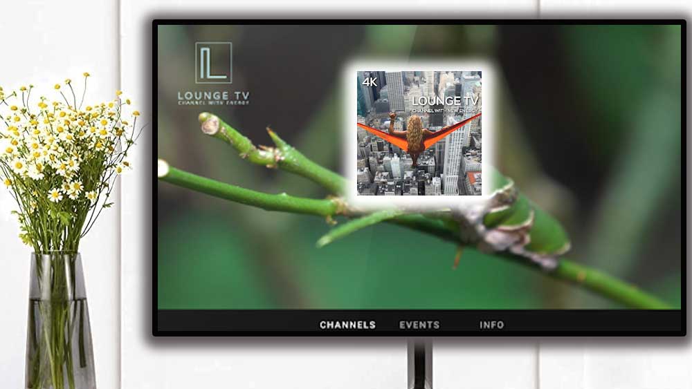 Lounge TV for Android TV and Fire TV