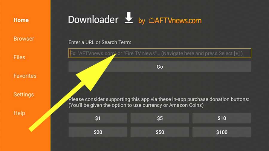 URL area of Downloader App