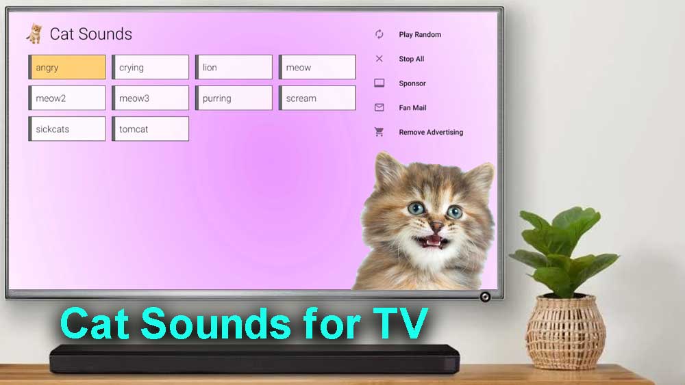 Cat Soundboard – Cat sounds on TV