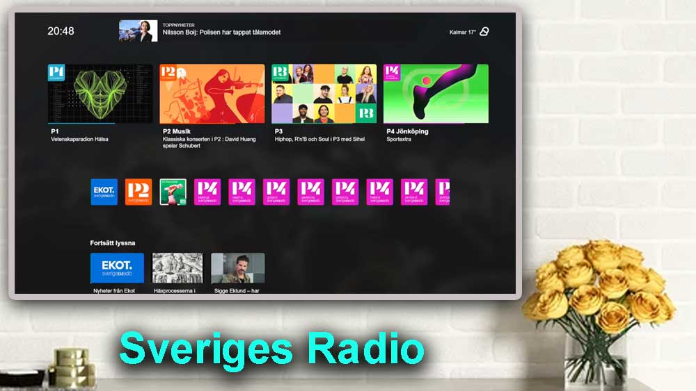 Sveriges Radio Play – Swedish Radio for Android TV | Fire TV